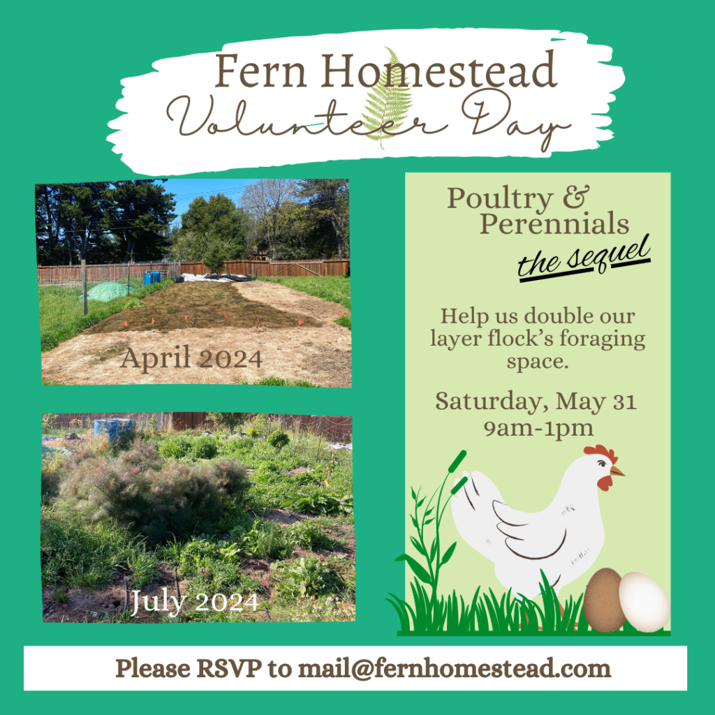 Volunteer Day - Poultry & Perennials