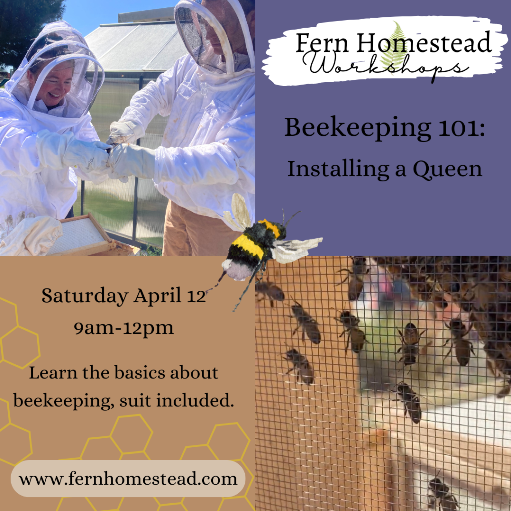 Beekeeping 101